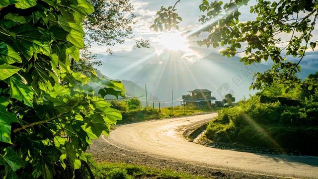 户外道路森林绿色植物平面广告