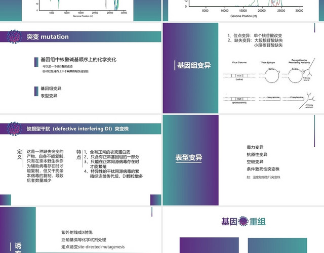 紫绿渐变简约病毒说课课件PPT模板