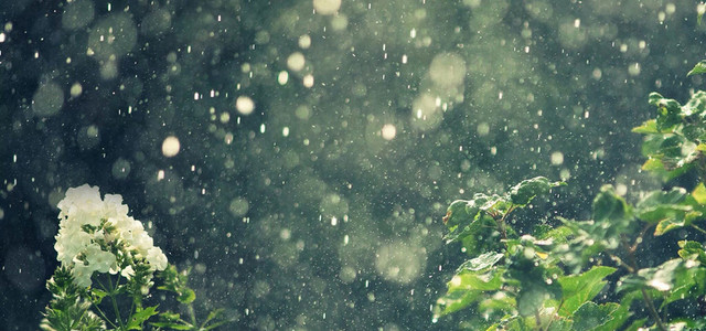 浪漫雨雪