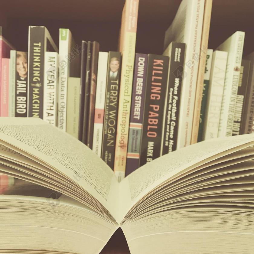 书籍 开放 库 本打开的书 封面 阅读 页面 纸 文学
