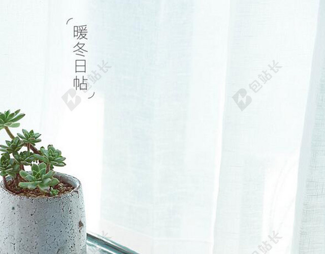 温暖冬日盆栽背景图
