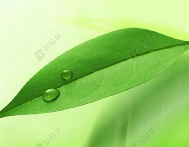树叶上的水珠H5素材背景