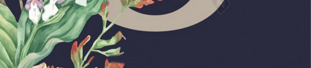 妇女节节日背景图