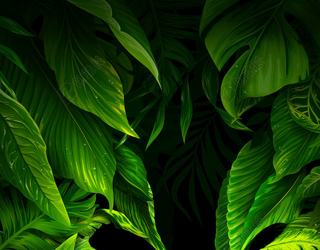 绿色植物H5背景