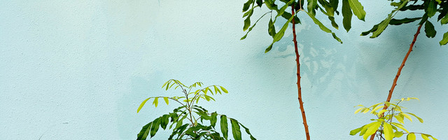 淘宝清新女装BANNER背景