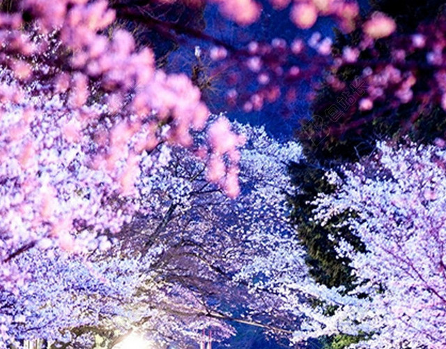 春天五彩花朵H5背景素材