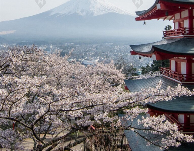 樱花富士山H5背景