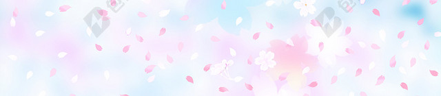 淡雅樱花背景