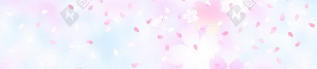 梦幻樱花春季主图背景