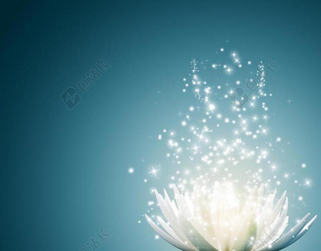 星光睡莲梦幻主图背景