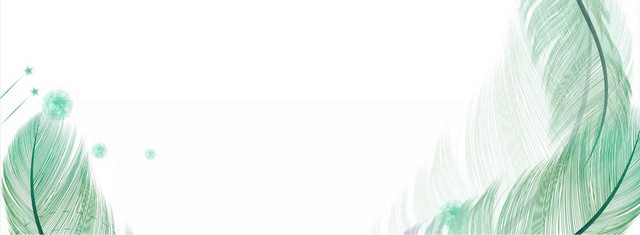 绿色简约手绘羽毛女装海报BANNER