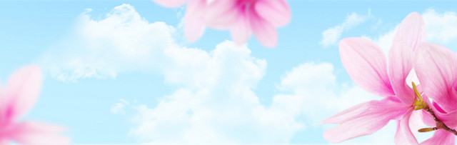 美容BANNER背景素材