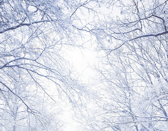雪地里的车道H5背景