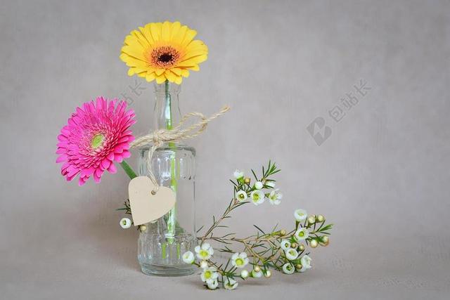 鲜花 非洲菊 花瓣 黄色 粉红色 素馨花 白 心形吊坠 花瓶
