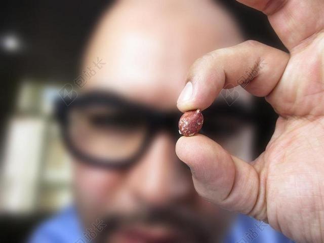 花生 手 视觉 看 视图 手指 还行 英寸 指数 圆