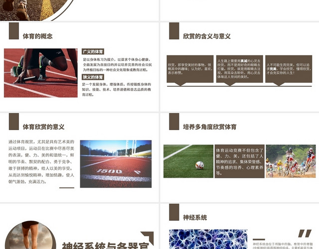 棕色简约风体育欣赏工作汇报PPT体育欣赏PPT课件