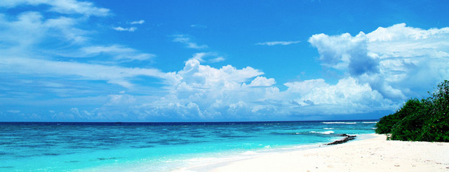 海滩BANNER背景