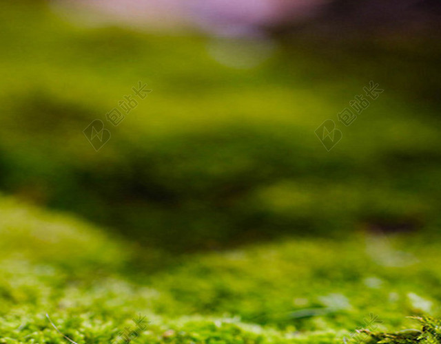清新绿色光影春天背景