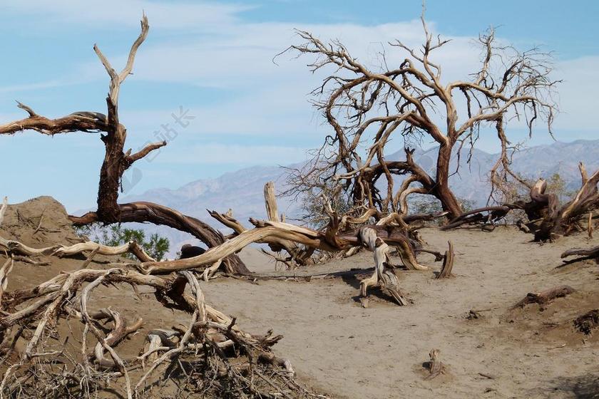 黄色广告自然写实死亡谷背景图片
