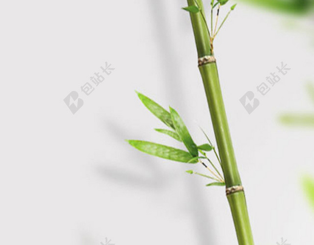 H5背景竹子