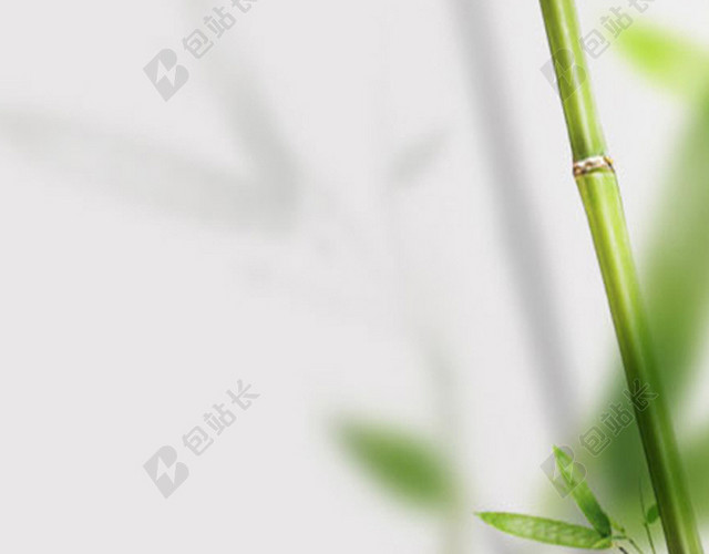 H5背景竹子