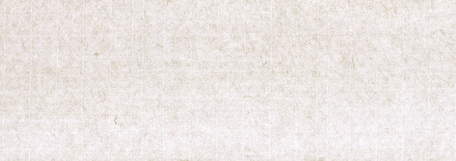 纸纹背景BANNER
