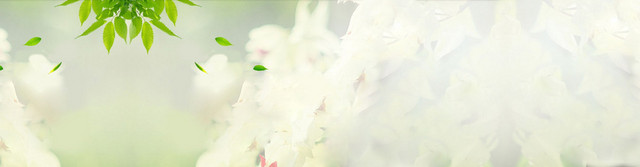 风景BANNER背景图