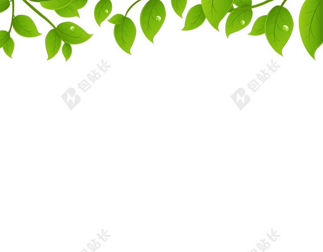 白底绿叶背景