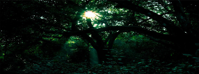 淘宝BANNER