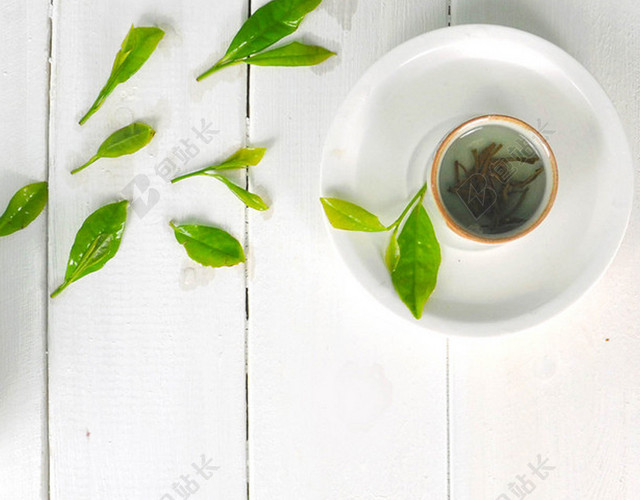清新茶叶促销背景图