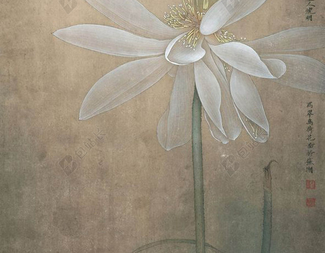 国画荷花飞鸟海报背景素材