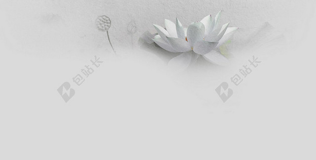 手绘荷花背景