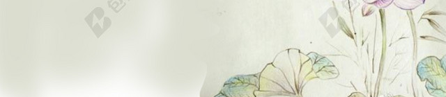 紫色荷花莲藕中国风