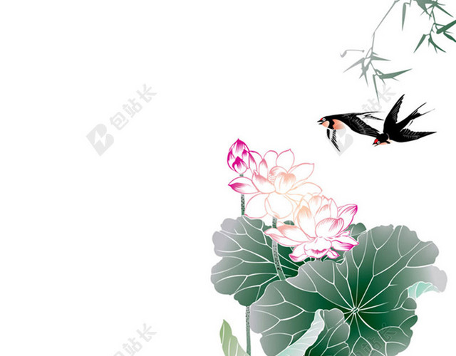 荷花燕子背景图