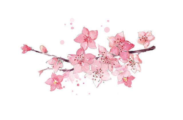 精美手绘桃花花束
