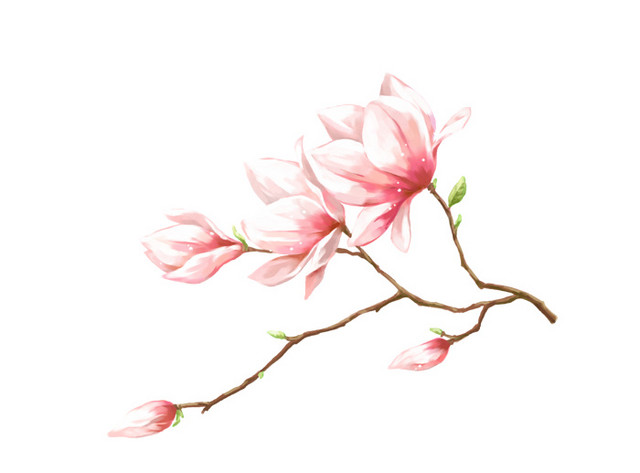 手绘粉色桃花