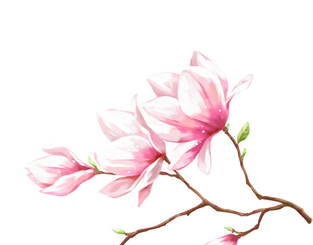 手绘桃花