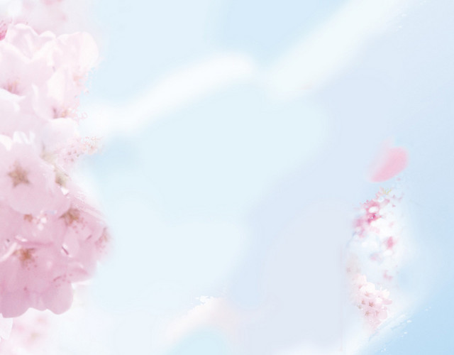 桃花全屏海报背景