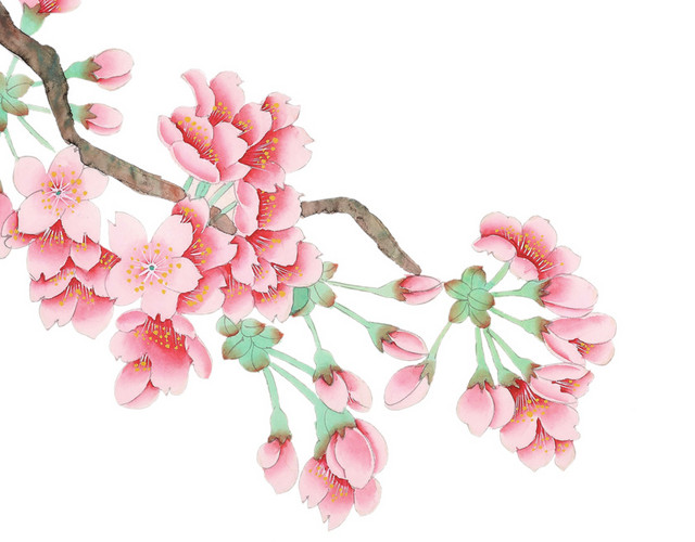 粉色桃花