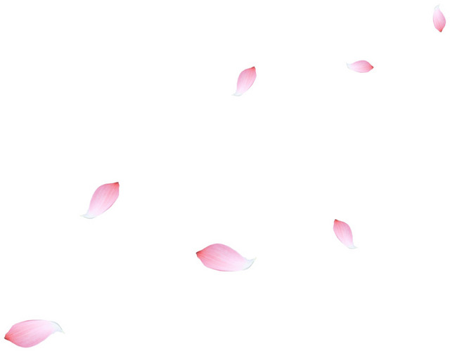漂浮花瓣
