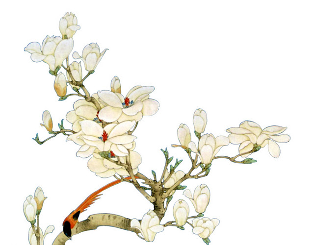 国画桃花