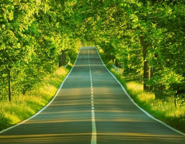 小清新公路绿植H5背景