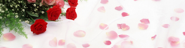 婚庆婚礼邀请卡浪漫玫瑰BANNER