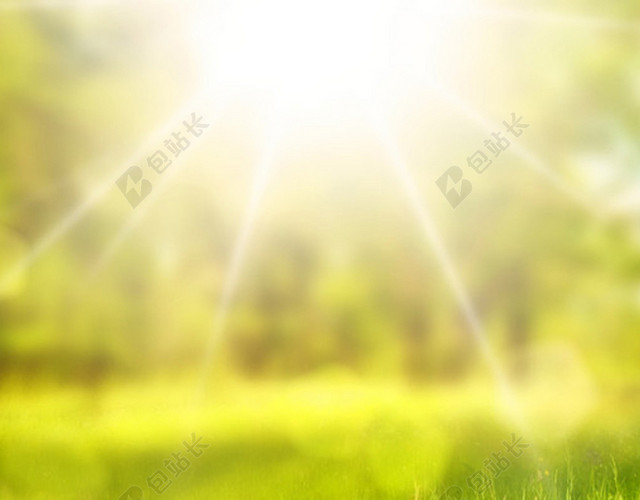 绿色春天阳光风景手机端H5背景