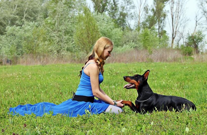 杜宾 女人和狗 爱 PACSI 字段 金发碧眼的女人 谎言 美