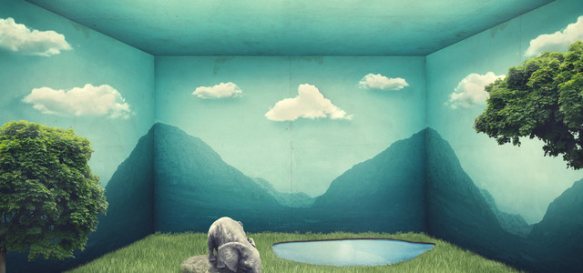 空间树木云朵背景BANNER