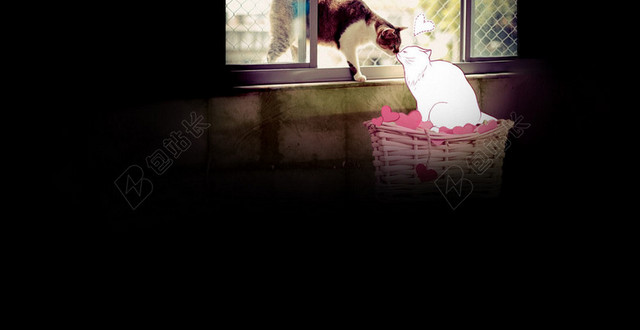 可爱猫咪背景