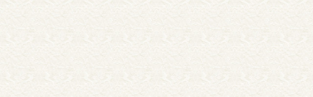 纸张BANNER