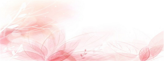 唯品会京东BANNER
