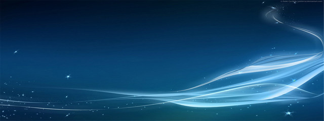 唯品会京东BANNER